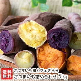 楽天市場 サツマイモ 産地 都道府県 新潟 野菜 きのこ 食品 の通販