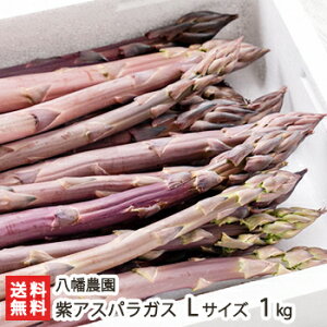 �V���Y ���A�X�p���K�X L�T�C�Y�i1�{������30g�`40g�j1kg �����_���y���/�̂ꂽ��/�����A�X�p���K�X/�①�ցz�y���������z ���Ε�