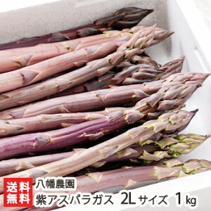 �V���Y ���A�X�p���K�X 2L�T�C�Y�i1�{������50g�`60g�j1kg �����_���y���/�̂ꂽ��/�����A�X�p���K�X/�①�ցz�y���������z ���Ε�