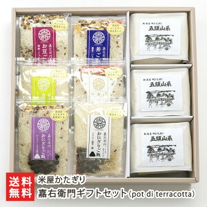 ÉEqMtgZbgipot di terracottaj ĉ Y؃~bNX ͂ RVqJ V YҒ  Mtg v[g 蕨  Ε