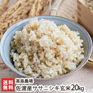 無農薬 玄米の人気商品 通販 価格比較 価格 Com 無農薬 玄米の人気商品 通販 価格比較 価格 Com