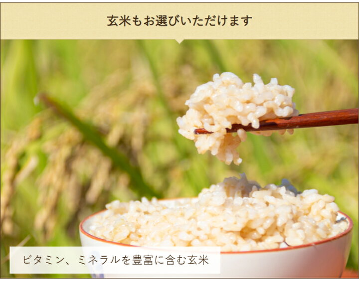 楽天市場】【令和7年度米】無農薬・無化学肥料 佐渡産コシヒカリ 玄米 