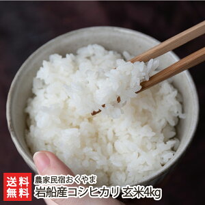 【令和7年度新米】減農薬・減化学肥料 岩船産コシヒカリ 玄米4kg 農家民宿おくやま【こしひかり お米】【送料無料】