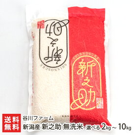 【令和7年度米】新潟産 新之助 無洗米 選べる 2kg 〜 10kg（2kg×5袋） 谷川ファーム しんのすけ ライス 白米 うるち米 あっさり お取り寄せ 新潟県 生産者直送 お取り寄せ ギフト プレゼント 贈り物 送料無料