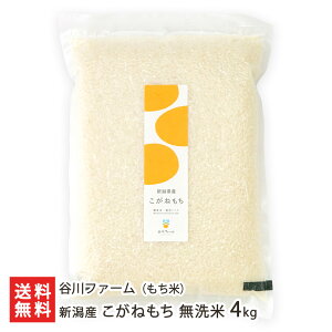 【令和7年度新米】新潟産こがねもち(もち米)無洗米 4kg(2kg×2袋) 谷川ファーム 真空包装 コガネモチ 餅米 もち米の王様 おこわ おはぎ お赤飯 お取り寄せ 新潟県 生産者直送 お取り寄せ