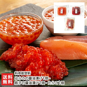 ͂炱iCNj̏ݖЂ1E؎q̏ݖЂ 1E炱1 \oVyVv/Vܗ//͂炱/炱// Ёz Ε