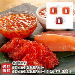 ͂炱iCNj̏ݖЂ 1E͂炱̖XЂ 1E؎q̏ݖЂ 1 \oVyVv/Vܗ//͂炱/炱// Ёz Ε