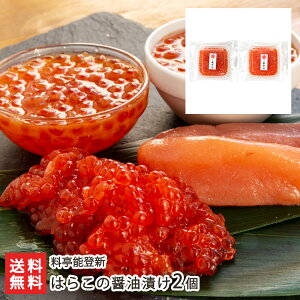 ͂炱iCNj̏ݖЂ2 \oVyVv/Vܗ//͂炱/炱// Ёz