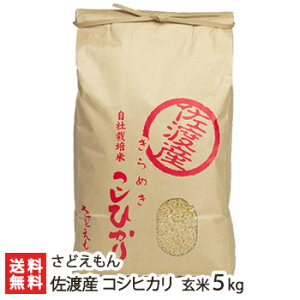 yߘa7NxVāzV nYRVqJ 5kg ǂyЂ/VY/VYzyz