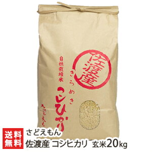 yߘa7NxVāzV nYRVqJ 20kgi5kg×4jǂyЂ/VY/VYzyz