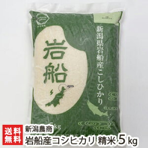 【令和7年度新米】岩船産コシヒカリ 精米5kg 新潟農商【白米/うるち米/こしひかり/新潟産/新潟県産】【お土産/手土産/プレゼント/ギフトに!贈り物】【送料無料】