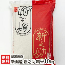 【令和7年度米】新潟産 新之助 精米10kg（5kg×2）新潟農商【白米/うるち米/しんのすけ/新潟産/新潟県産】【お土産/手土産/プレゼント/ギフトに！贈り物】【送料無料】