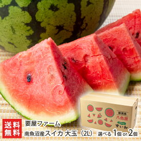 「八色産スイカ」大玉（2L）選べる 1個入 〜2個入 要屋ファーム 御中元 南魚沼 小玉スイカ 八色 すいか 西瓜 産地直送 新潟県 生産者直送 お取り寄せ ギフト プレゼント 贈り物 送料無料