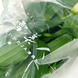 楽天市場 津南産カサブランカ 雪美人 5本入 Ja津南町 百合 ゆり 生花 切り花 お供え花 仏花 華道 フラワーアレンジメント フラワーギフト 送料無料 新潟直送計画 楽天市場店