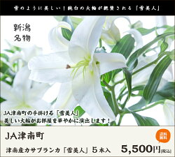 楽天市場 津南産カサブランカ 雪美人 5本入 Ja津南町 百合 ゆり 生花 切り花 お供え花 仏花 華道 フラワーアレンジメント フラワーギフト 送料無料 新潟直送計画 楽天市場店