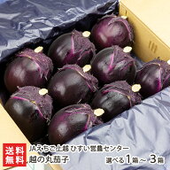 丸なす「 越の丸茄子 」 選べる 1箱 〜 3箱 1箱あたり9玉入り JAえちご上越 ひすい営農センター 新潟産 …