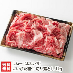 ɂa ؂藎Ƃ 1kgiieF500g×2pbNjˈi˂jyVa/uhzyyY/yY/v[g/MtgɁI蕨zyz