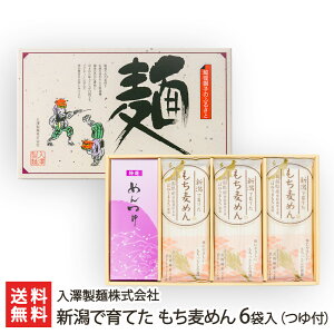 VňĂ ߂ 6ܓ ti߂E ߂e6܁j Vˊ VY YҒyނ `M ͂˂܂  H@  zyyY/yY