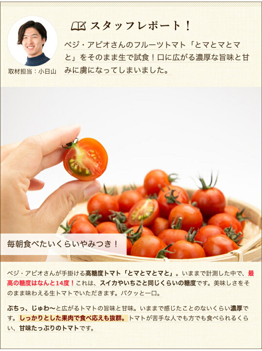 新潟県産 ミニトマト 2kg プチトマト 紅まるこ 山賀農園 送料無料 産地直送 とまと 新潟直送計画 新潟県産 ミニトマト 2kg プチトマト 紅まるこ 山賀農園 送料無料 産地直送 とまと 新潟直送計画