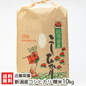 新潟産 コシヒカリ 精米10kg 近藤菜園【こしひかり/うるち米/新潟コシヒカリ/新潟県産/新潟米】【お土産/手土産/プレゼント/ギフトに！贈り物】【送料無料】