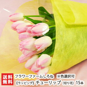 チューリップ 切り花の人気商品 通販 価格比較 価格 Com