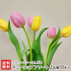 `[bv A\[g 2i10{i5{EsN5{ e1j t[t@[ YҒ yϕszy AWg t[Mtg v[g z 