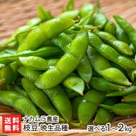 新潟産 枝豆 晩生品種 選べる 1kg or 2kg ナカムラ農産 鮮度抜群 えだまめ エダマメ えだ豆 農家直送 新…