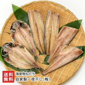 自家製一夜干し（梅）鯖 2枚・縞ほっけ 2枚・鯵 2枚 海産物ねだち お取り寄せ サバ ホッケ アジ 干物 三枚おろし 天日塩 食べやすい 新潟県 生産者直送 お取り寄せ ギフト プレゼント 贈り物 送料無料
