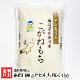 令和6年度産米 特別栽培米 糸魚川産もち米 こがねもち 精米1kg 磯貝農場 新潟県産 産地直送 送料無料【新潟直送計画 もちごめ お餅やおこわに 正月用】 お歳暮