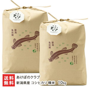 yߘa7NxVāz VYRVqJ  Iׂ 5kg or 10kg ڂ̃Nu Ђ CX   V YҒ  Mtg v[g 蕨 