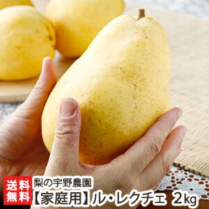 yƒpzm N`Fu1kgvoru2kgv̉F_yVY/Vv/EN`F/miV/mȂ//t[c//󂠂iz