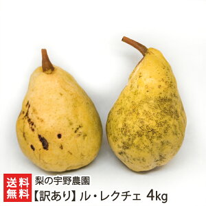 y󂠂zEN`F 4kgi10`14ʁj ̉F_ N`F m Ȃ iV t[c V YҒ  