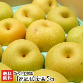 【家庭用】新高 5kg（8～16玉） 梨の宇野農園 産地直送 送料無料【新潟直送計画 フルーツ なし ナシ 和梨 エコファーマー認定 ジューシー にいたか ニイタカ 父の日 お中元