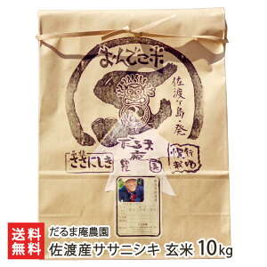 yߘa7NxVāznYTTjVL  10kg ` 20kg ܈_    邿 ɂ nY V V YҒ  Mtg v[g 蕨 