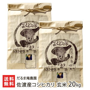 yߘa7NxVāznYRVqJ  Iׂ 10kg 20kg ܈_   Ђ z nY V V YҒ  Mtg v[g 蕨 