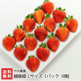 新潟ブランドいちご 越後姫 Lサイズ 1パック 竹内農園 産地直送 送料無料【新潟直送計画 苺 イチゴ 新潟産 フルーツ 果物 ストロベリー 高糖度 えちごひめ 採れたて発送】