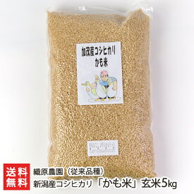 【令和7年度米】無農薬 新潟産コシヒカリ「かも米」（従来品種）玄米 選べる 2kg 5kg 織原農園 新潟県産 こしひかり ま鴨農法 有機肥料 真空パック 新潟県 生産者直送 お取り寄せ ギフト プレゼント 贈り物 送料無料 お中元