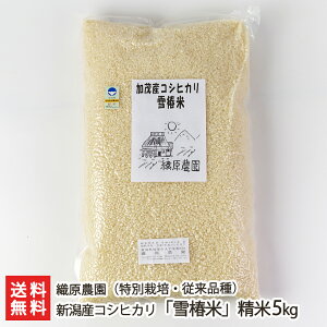 yߘa7NxVāzʍ͔|āi_Ew엿jVYRVqJu֕āvi]ij Iׂ 2kg or 5kg D_ VY Ђ  ቷ ^pbN L@엿 V