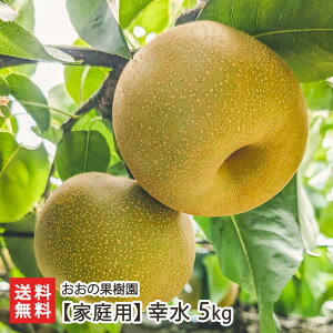 �y�ƒ�p�z�K�� �I�ׂ� 3kg�i6�`10�ʁj �` 5kg�i10�`16�ʁj�����̉ʎ��� �������� �R�E�X�C �a�� �a�i�V �� �i�V �Ȃ� �ʕ� �t���[�c �������� �V���� ���Y�Ғ��� ������ ���蕨 ��������