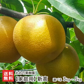 【家庭用】新高 選べる 3kg（5～6玉） 〜 5kg（6～9玉）おおの果樹園 にいたか ニイタカ 和梨 和ナシ 梨 ナシ なし 果物 フルーツ くだもの 新潟県 生産者直送 お取り寄せ ギフト プレゼント 贈り物 送料無料