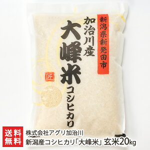 yߘa7NxVāz VY RVqJ   Iׂ 2kg ` 20kg ЃAO Vv Ђ CX  VY YҒ  Mtg v[g 蕨