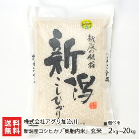 【令和7年度米】新潟産 コシヒカリ 奥胎内米 玄米 選べる 2kg 5kg 10kg 20kg 株式会社アグリ加治川 新潟直送計画 こしひかり ライス 白米 新潟県産 生産者直送 お取り寄せ ギフト プレゼント 贈り物