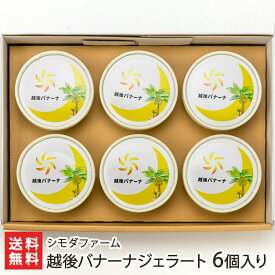 越後バナーナジェラート 6個入り シモダファーム【代金引換決済不可】【国産/ハウス栽培/完熟/新潟県内初のバナナ栽培/新潟市の人気ジェラート店とのコラボ商品】【お土産/手土産/ギフトに！贈り物】【送料無料】