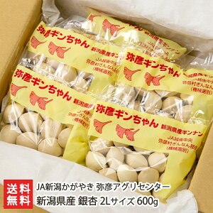 VY  2LTCY 600gi100g×6܁j JAV₫ FAOZ^[ Ȃ Mi 嗱 V YҒ  Mtg v[g 蕨 ϕs 