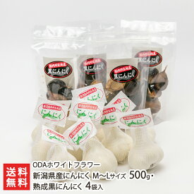 新潟県産にんにく M～Lサイズ 500g（6～10玉）・熟成黒にんにく 4袋入り ODAホワイトフラワー 産地直送 送料無料【新潟直送計画 ニンニク 大蒜 ホワイト六片 大粒 臭いが残りにくい】