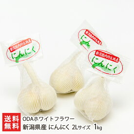 新潟県産 にんにく 2Lサイズ 1kg（11～12玉） ODAホワイトフラワー 産地直送 送料無料【新潟直送計画 ニンニク 大蒜 ホワイト六片 大粒 臭いが残りにくい】