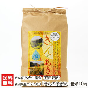 yߘa7NxVāzVYRVqJûāviIc͔|j Iׂ 5kg 10kg ̂Y Vv Ђ CX  _ w엿 V YҒ 