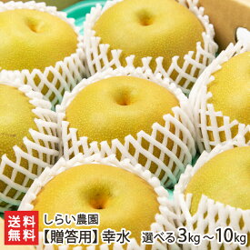 【贈答用】幸水「3kg」or「5kg」or「10kg」 しらい農園【新潟県産/和梨/なし/ナシ/こうすい】【お土産/手土産】【送料無料】