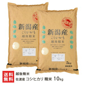 yߘa7NxVāznY RVqJ  5kg 10kg z㐸 Ђ CX   邿 V YҒ  Mtg v[g 蕨 