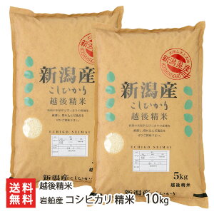 【令和7年度新米】岩船産 コシヒカリ 精米 選べる 5kg 10kg 越後精米 こしひかり ライス お米 新潟県 生産者直送 お取り寄せ ギフト プレゼント 贈り物 送料無料